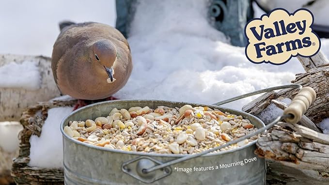 Valley Farms Hearty Delight 4 LB 2-Pack (8 LB Total) Wild Bird Food for Outside Feeders, No-Mess Wild Bird Seed with Sunflower Hearts & Peanut Kernels, No Fillers, Perfect for Outdoor Patios