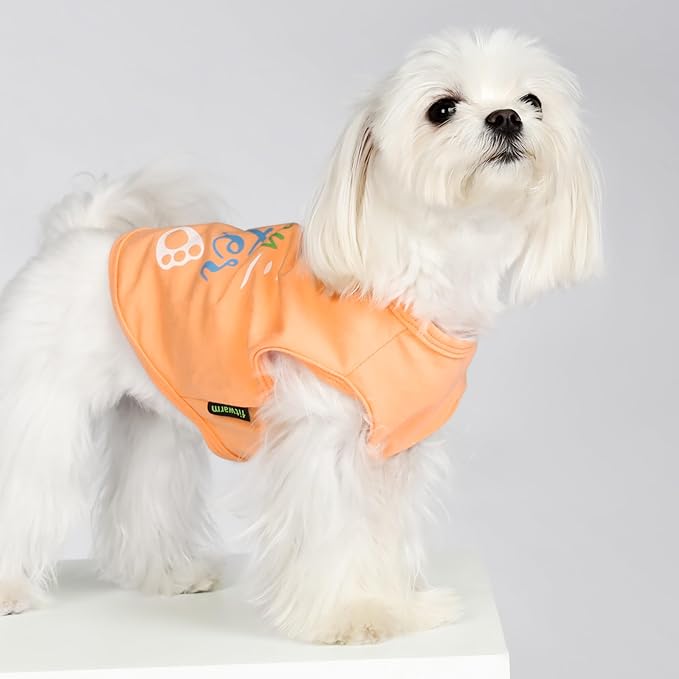 Fitwarm Happy Easter Bunny Dog Shirt, Easter Dog Clothes for Small Dogs Boy Girl, Cute Pet Outfit, Green, Blue, White, Orange, Large