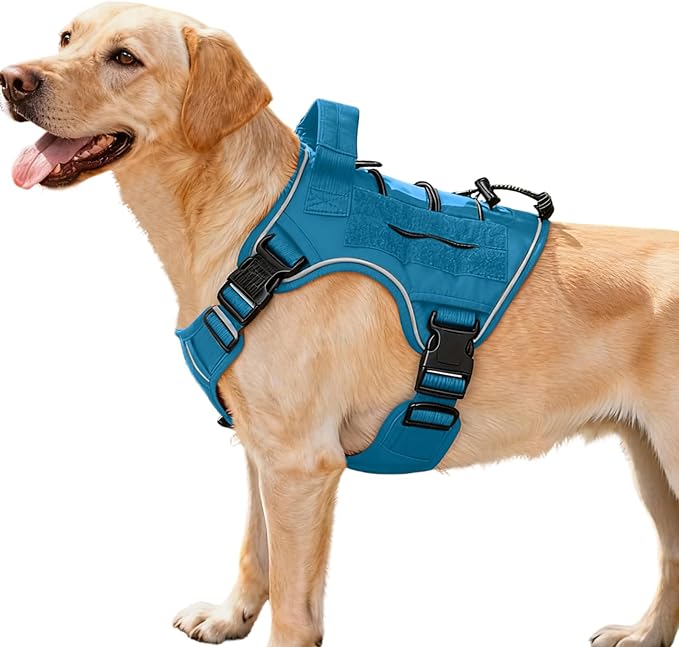 Heavy-Duty Tactical Dog Harness for Large Dogs, No Pull Adjustable Reflective Pet Vest with Molle System, K9 Military-Grade Control for Service Training, Outdoor & 10+ Breeds, Blue, Medium