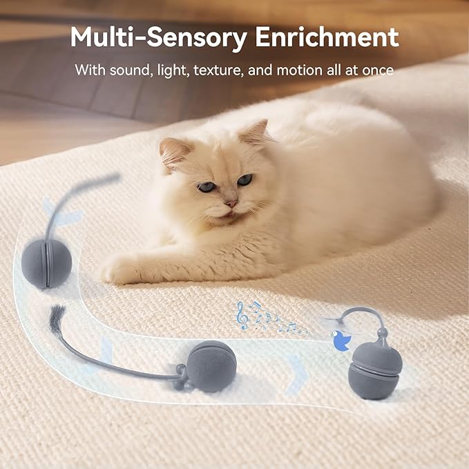 Cheerble 2 in 1 Interactive Cat Toys for Indoor Cats - Wicked Ball Duo2 Automatic Cat Toy, Dual Interchangeable Shells, Electric Cat Toy Ball with Chirping Sounds,Rechargeable Moving Kitten Toys, Blue