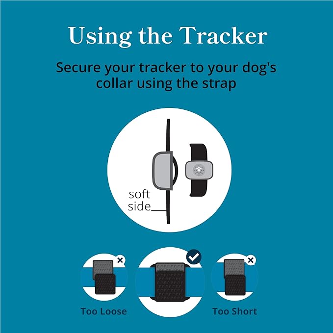Petivity Smart GPS and Activity Pet Tracker for Dogs Powered by Purina, Waterproof Real Time Tracking GPS Dog Collar, Downloadable App, Subscription Required
