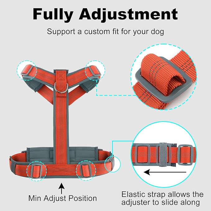 Plutus Pet No Pull Dog Harness, Adjustable Nylon Harness with Soft Padding, Reflective and Heavy Duty Dog Harness for Small, Medium, Large Dogs(Orange, M)