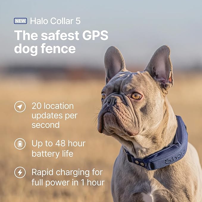 Halo Collar 5, New Wireless Dog Fence & GPS Dog Collar, Subscription Required, Waterproof, Blaze, One Size