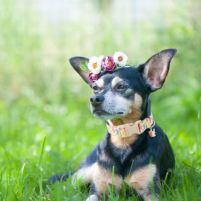 DOGWONG Easter Dog Collar- Cute Coloful Egg Dog Collars Adjustable Designer Easter Day Puppy Heart Dog Collar for Small Medium Large Dogs XS