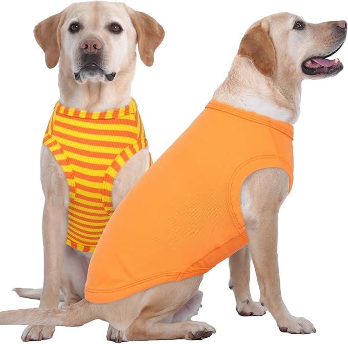 IECOii 2 Pack Dog Tee Shirts for Large Dogs,Breathable & Lightweight T-Shirts for Hot Weather,Soft Stretchy for Active Dogs - Non-Restrictive for Running & Play,Summer Outdoor Wear,Orange+Stripes,2XL