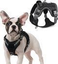 rabbitgoo Tactical Dog Harness for Small Dogs, No Pull Military Service Vest with Handle & Molle, Easy Control for Training Walking, Adjustable Reflective Straps, Black, S