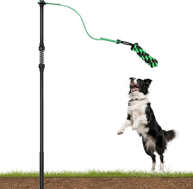 FXW TugPal Flex Outdoor Tug of War Toy for Dog,Interactive Exercise Game with Spring-Top Rod for Yard,47 inch for Medium Dogs up to 60 lbs| Safe Design & Rustproof Base,│Patent Pending