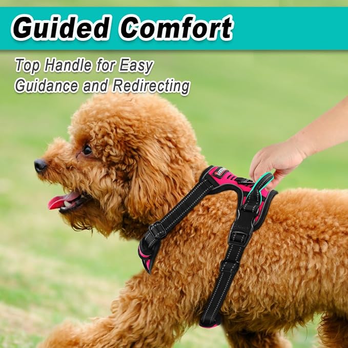 BARKBAY Dog Harness No Pull for Small Dogs - Adjustable, Reflective, Comfortable, No Choke, Heavy-Duty - Perfect for Outdoor Training, Walking, and Hiking - Strong & Durable - XS & Pink