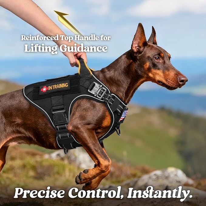 rabbitgoo Tactical Dog Harness Medium Sized, No Pull Upgraded Reflective Heavy Duty Molle Vest with Handle, Adjustable Military Service Dog Vest for Walking Hiking Training, Black, M