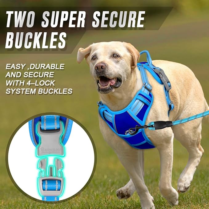 BARKBAY No Pull Dog Harness Front Clip Heavy Duty Reflective Easy Control Handle for Large Dog Walking(Sapphire Blue & Blue,M)