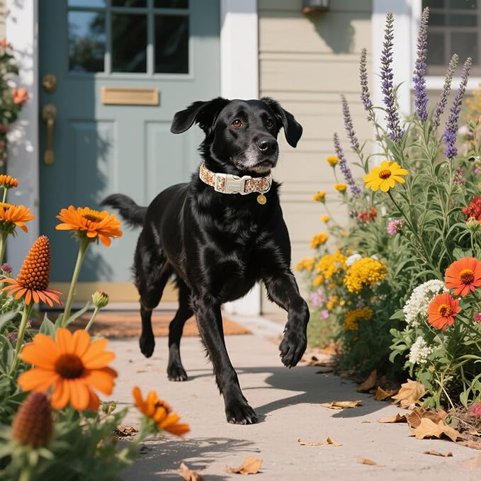 DOGWONG Flower Dog Collar, Orange Daisy Flower Dog Collar Adjustable Soft Fabric Girl Pet Dog Collars Cute Puppy Necklace for Small Medium Large Dogs