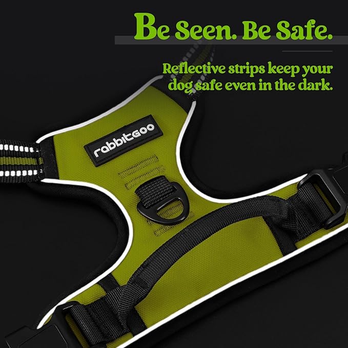 rabbitgoo Dog Harness No Pull with 2 Leash Clips, Adjustable Soft Padded, Reflective Oxford No Choke Pet Vest with Easy Control Handle for Large Dogs, Green, L