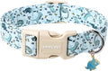 ARING PET Dinosaur Dog Collar, Blue Summer Pet Collars with Quick Release Buckle for Puppy Small Medium Large Boy Girl Dogs-L