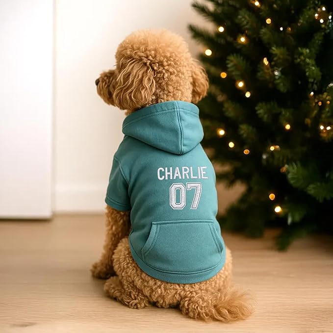 Personalized Name Dog Hoodie, Embroidered Puppy Sweater with Name and Number, Customized Pet Clothes Warm Winter Outfit for Dogs, Bright Puppy Sweatshirt, Pet Birthday Outfit, Dog Lovers Gifts