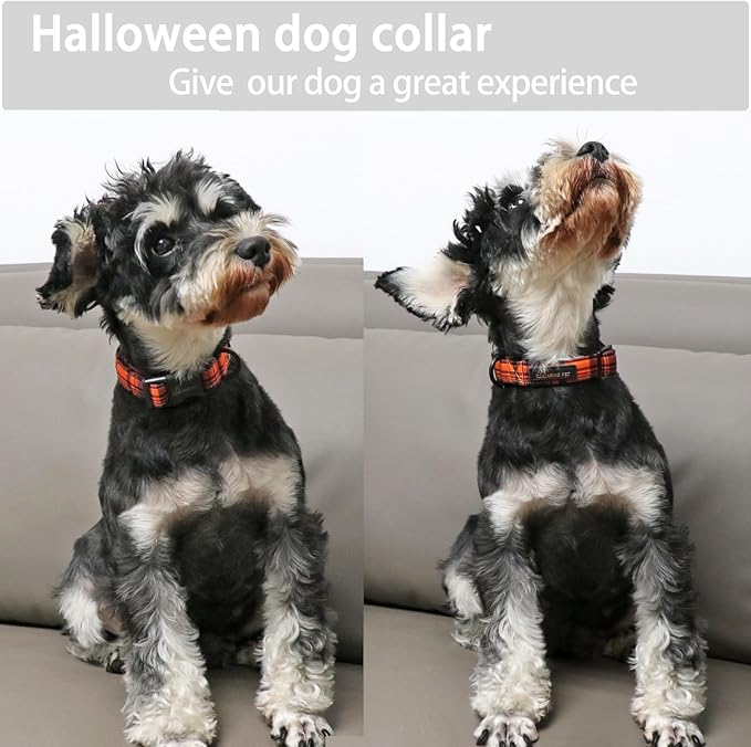 ARING PET Halloween Dog Collar-Cute Fall Dog Collar for Small Dogs, Cotton Halloween Orange Grid Dog Collars for Small Medium Large Female and Male Dogs