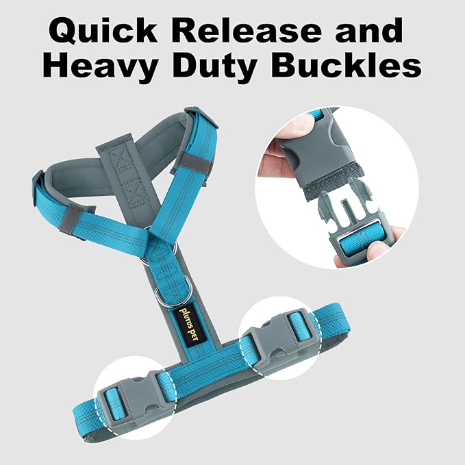Plutus Pet No Pull Dog Harness, Adjustable Nylon Harness with Soft Padding, Reflective and Heavy Duty Dog Harness for Small, Medium, Large Dogs(Cyan, L)