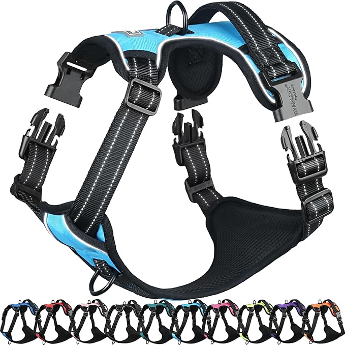 VIVAGLORY Dog Harness Easefit No Pull Dog Harness with Front Clip & Handle for Lifting Training, Adjustable Padded No-Pull Anti Pull Easy On for Puppy & Pet, M, Blue