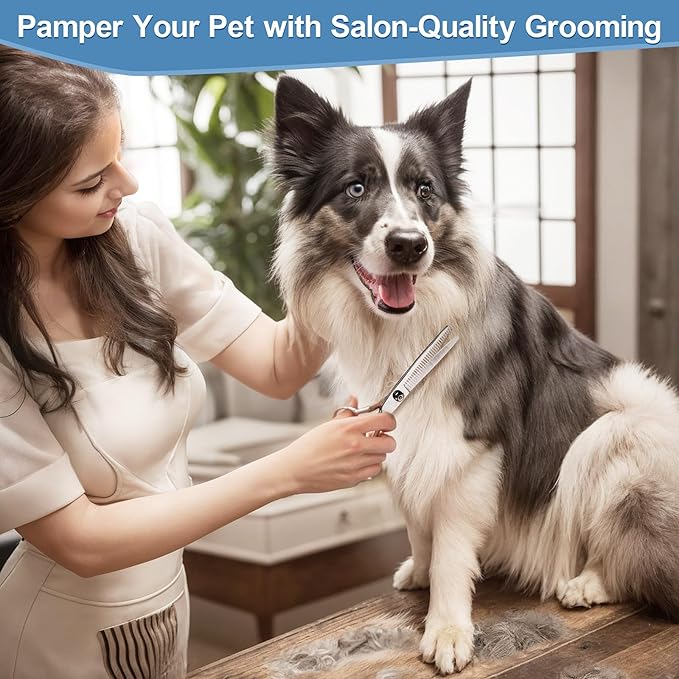 Gimars Titanium Coated Professional 6 in 1 4CR Stainless Steel Dog Grooming Scissors with Safety Round Tip, Heavy Duty Pet Grooming Scissor for Dogs, Cats and Other Animals