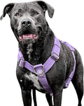 Spark Paws No Pull Dog Harness for Large Dogs, Heavy Duty Dog Harness for Big Strong Breeds, Adjustable, Y Shaped Padded Halter Design with Front Clip - Purple - Large