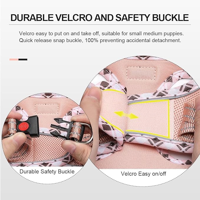 Mercano Soft Mesh Dog Harness and Leash Set, No-Chock Step-in Reflective Breathable Lightweight Easy Walk Vest Harnesses with Safety Buckle for Small Dogs, Cats (Champagne, XS)
