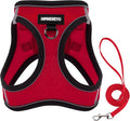 Dog Harness and Leash Set, Dog Harness for Dogs No Pull, No-Chock Step-in Reflective Breathable Lightweight Easy Walk Vest Harnesses with Safety Buckle for Small Medium Dogs, Cats (Red, XS)