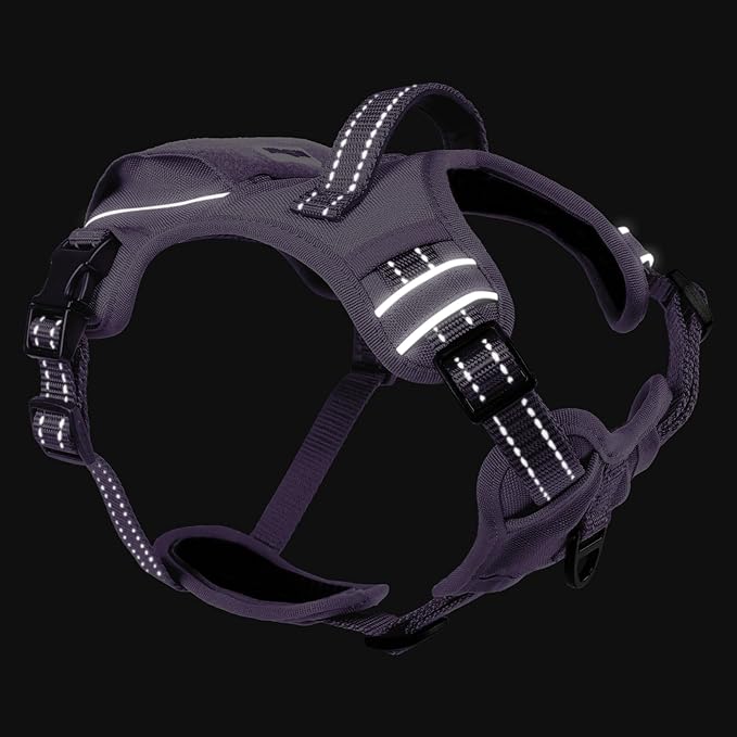 No Pull Dog Harness Medium Sized Dog for Service, Easy Walk, Training - Adjustable Reflective Dog Vest with Handle Easy Control - No Choke Metal Buckled Pet Harnesses (Purple, Large)
