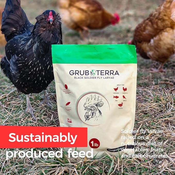 GrubTerra Golden Dried Black Soldier Fly Larvae - Premium Supplement to Increase Egg Production for Hen Treats, Bird Feed, Chicken Feeder, Pet Bird Food, and Wildbird Feed, Never from China! (1lb)