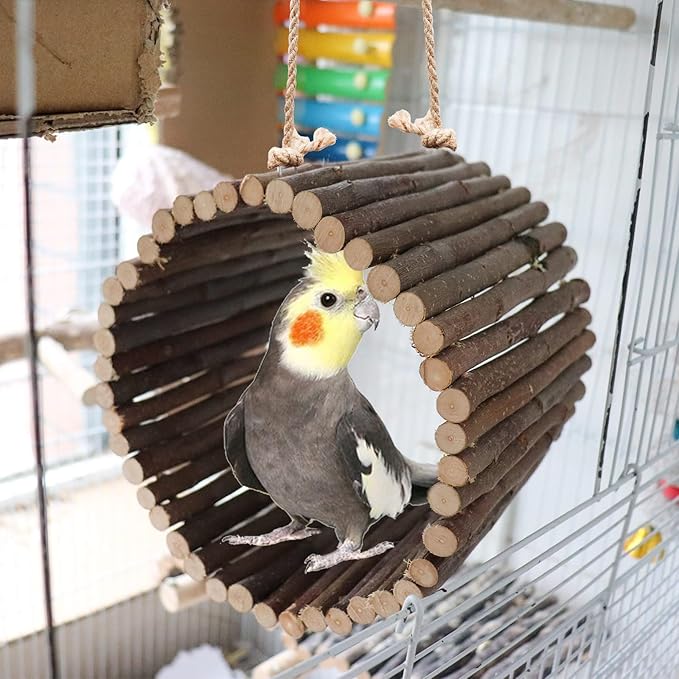 Bird Parrot Swing Toys, Hanging Bird Tree Caves, Natural Apple Wood Parrot Hammock, Bird Cage Accessories, Suitable for Little Bird Parakeets Cockatiels Lovebirds Hamster Rat (6.49" in Diameter)