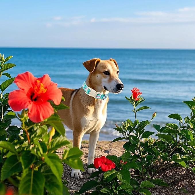 DOGWONG Spring Floral Cotton Dog Collar, Pink Flower Dog Collar Durable Soft Fabric Pet Dog Collars Cute Beachy Girl Female Puppy Necklace for Small Medium Large Dogs