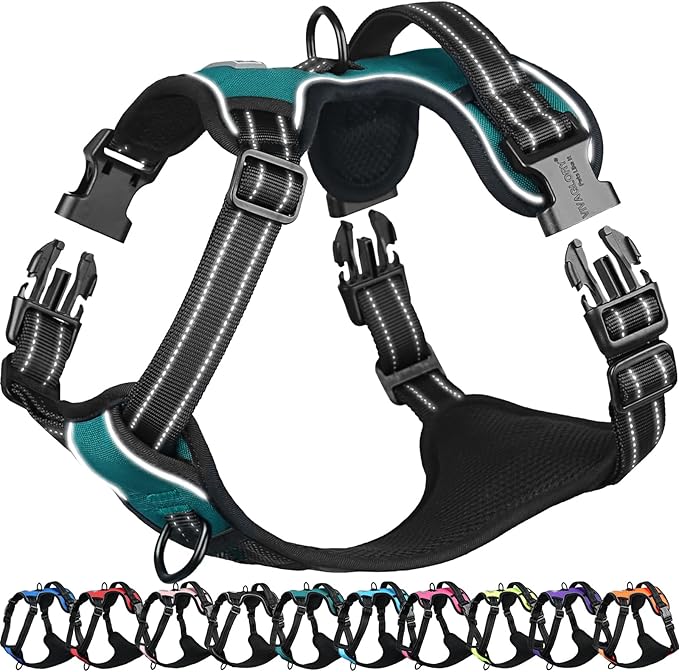 VIVAGLORY Dog Harness Easefit No Pull Dog Harness with Front Clip & Handle for Lifting Training, Adjustable Padded No-Pull Anti Pull Easy On for Puppy & Pet, L, Peacock Green