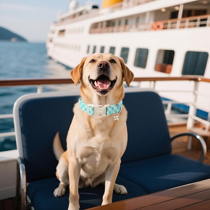 DOGWONG Green Dog Collar, Green Plaid Dog Collar Durable Checkered Pet Dog Collars Cute Summer Boy Puppy Necklace for Small Medium Large Dogs