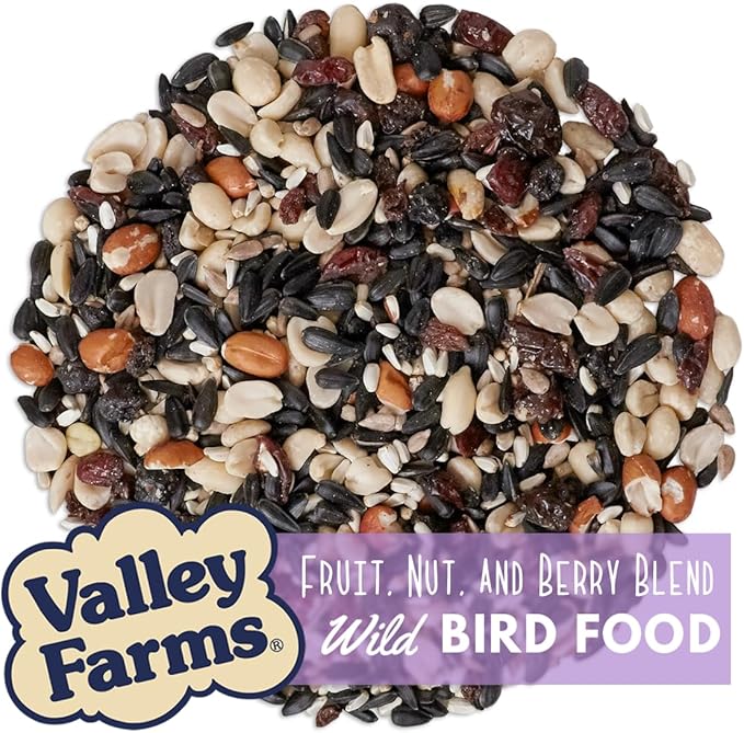 Valley Farms Fruit Nut & Berry (4 LB) Wild Bird Food Outside Feeders, Bird Seed with Dried Fruit, Peanuts, Sunflower, and Safflower, High Energy Mix for Healthy Birds!