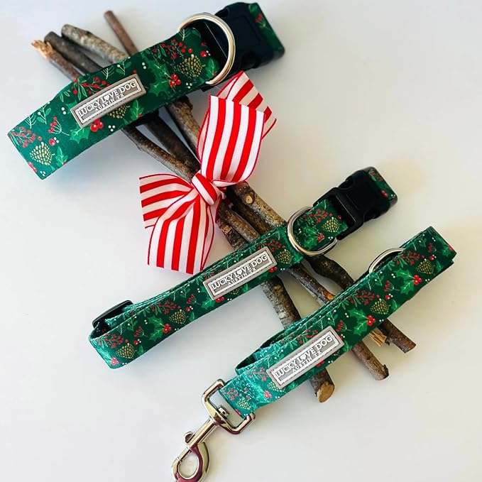 Lucky Love Dog - Easy Click Holly Dog Collar with Leash Set Combo, Durable & Comfortable for Male & Female Dogs, Pet Collar for Small to Large Dogs, Secure Fit - Holly Combo, Small