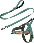 Annchwool No Pull Dog Harness with Padded Handle+5 Ft Leash,Reflective Strip Escape Proof and Quick Fit to Adjust Dog Harness,Easy for Training Walking for Small & Medium and Large Dogs(Green-Set,M)