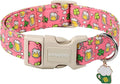 DOGWONG St. Patrick's Day Dog Collar, Pink Green Clover Dog Collars, Adjustable St. Patrick's Day Pet Collars Beer Dog Collar with Quick Release Buckle for Girl Female Dogs
