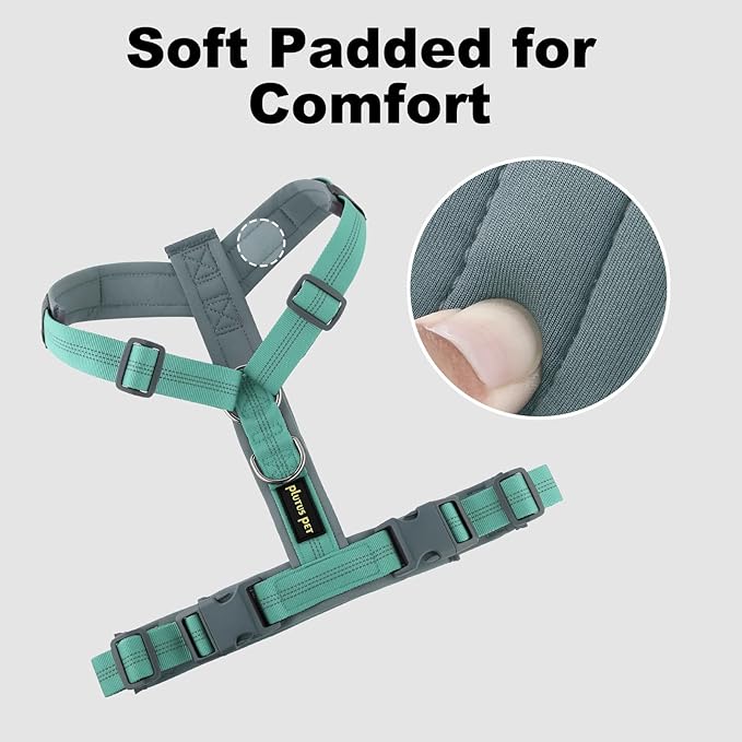 Plutus Pet No Pull Dog Harness, Adjustable Nylon Harness with Soft Padding, Reflective and Heavy Duty Dog Harness for Small, Medium, Large Dogs(Teal, XS)