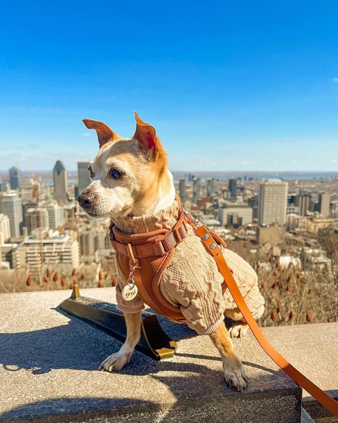 Fitwarm Knitted Dog Sweaters, Turtleneck Pet Pajamas, Dog Winter Clothes for Small Dogs Girl, Cat Apparel, Baby Pink, XXL