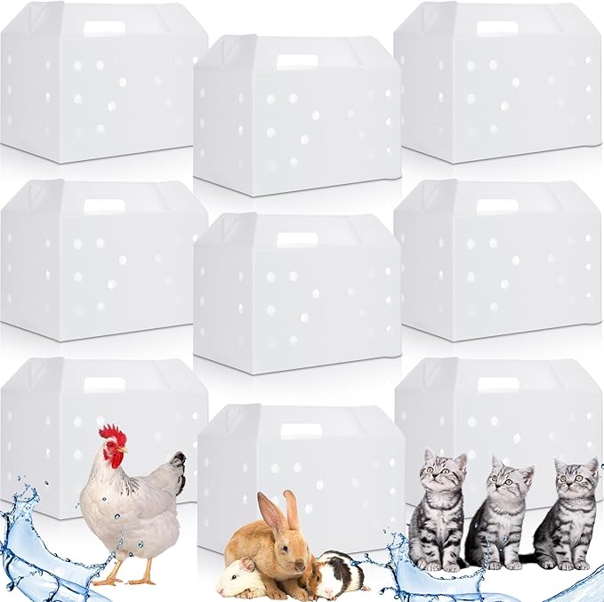 10 Pcs Plastic Pet Carriers 15.7 x 10.2 x 9.8 Inch for Small Animals Cat Hamster Guinea Pig Rabbit Bird Travel Box