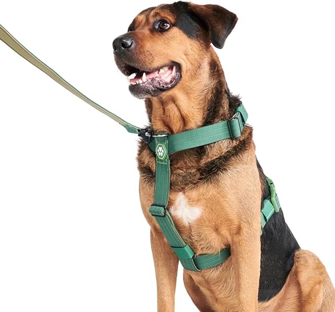 Spark Paws No Pull Dog Harness for Large Dogs, Heavy Duty Dog Harness for Big Strong Breeds, Adjustable, Y Shaped Padded Halter Design with Front Clip - Solid Green – L