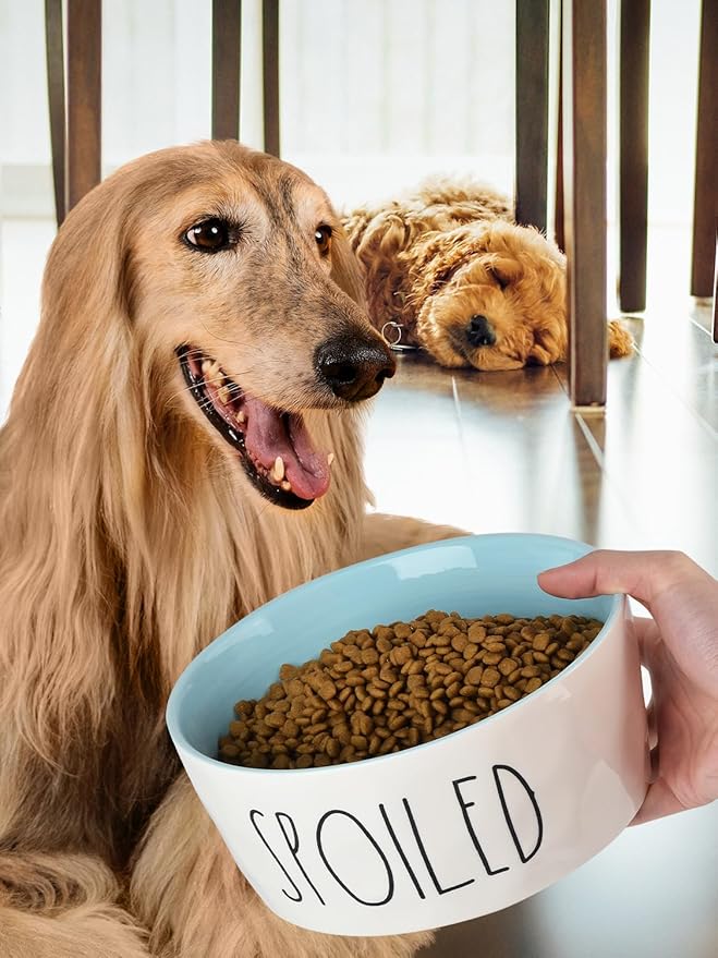 70OZ Ceramic Dog Bowl - 8'' Extra Large Food Water Dog Bowl, Heavy Duty Non-Slip Dog Dish for Medium and Large Dogs, Food Grade Porcelain Pet Feeder Bowl, Microwave & Dishwasher Safe, Blue