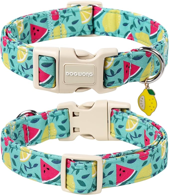 DOGWONG Summer Dog Collar, Summer Lemon Watermelon Dog Collars, Adjustable Cute Boy Pet Collars Girl Design Dog Collar for Small Medium Large Dogs