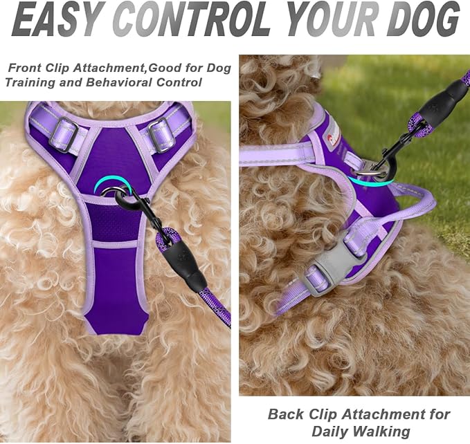 BARKBAY No Pull Dog Harness Front Clip Heavy Duty Reflective Easy Control Handle for Large Dog Walking(Violet Purple & Purple,XS)