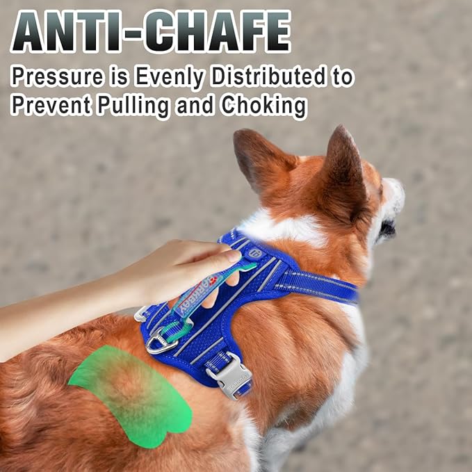 BARKBAY No Pull Dog Harness Large Reflective Dog Harness with Front Clip and Easy Control Handle for Walking Training Running with ID tag Pocket(Sapphire Blue,XS)