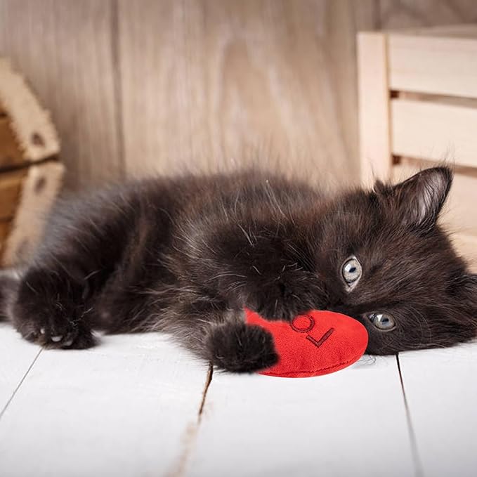 6pcs Valentine's Day Heart Catnip Toy，Valentines Indoor Heart Shaped Cat Toy Plush Interactive Chew Bite Toys for Cat Kitten Indoor Festive Holiday Cat Lover Gift
