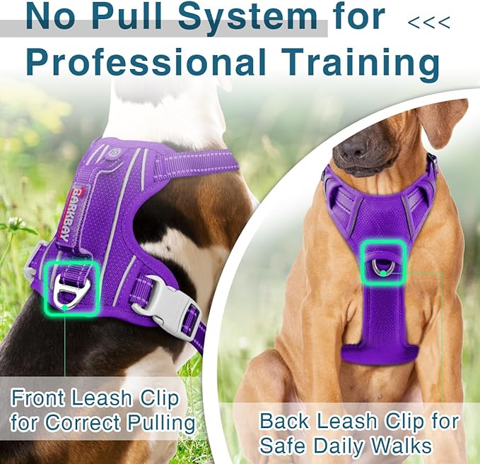 BARKBAY Dog Harness No Pull with ID Tag Pocket - Heavy Duty, Reflective, Easy Control for Small Dogs(Purple,S)