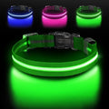 Light Up Dog Collar, Adjustable USB Rechargeable Glow in Dark Dog Collar ，Waterproof Dog Collars for Small Dogs (Green, Small)