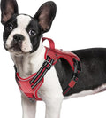 rabbitgoo Dog Harness Small Sized No Pull, Tactical Service Pet Vest with Molle and Control Handle, Adjustable and Reflective Military Harness for Easy Walking and Training, Red, S