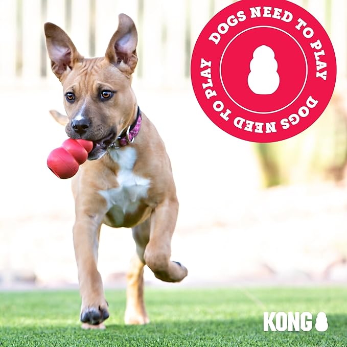 KONG Classic Stuffable Dog Toy - Fetch & Chew Toy for Dogs - Treat-Filling Capabilities & Erratic Bounce for Extended Play Time - Durable Natural Rubber Material - for Large Dogs (Pack of 2)