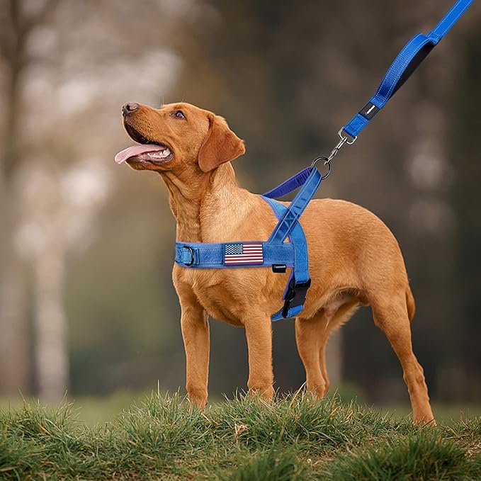 Annchwool No Pull Dog Harness with Soft Padded Handle,Reflective Strip Escape Proof and Quick Fit to Adjust Dog Harness,Easy for Training Walking for Small & Medium and Large Dogs(Blue,S)