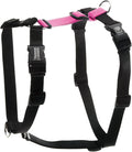 Blue-9 Buckle-Neck Balance Harness, Fully Customizable Fit No-Pull Harness, Ideal for Dog Training and Obedience, Made in The USA, Hot Pink, Medium